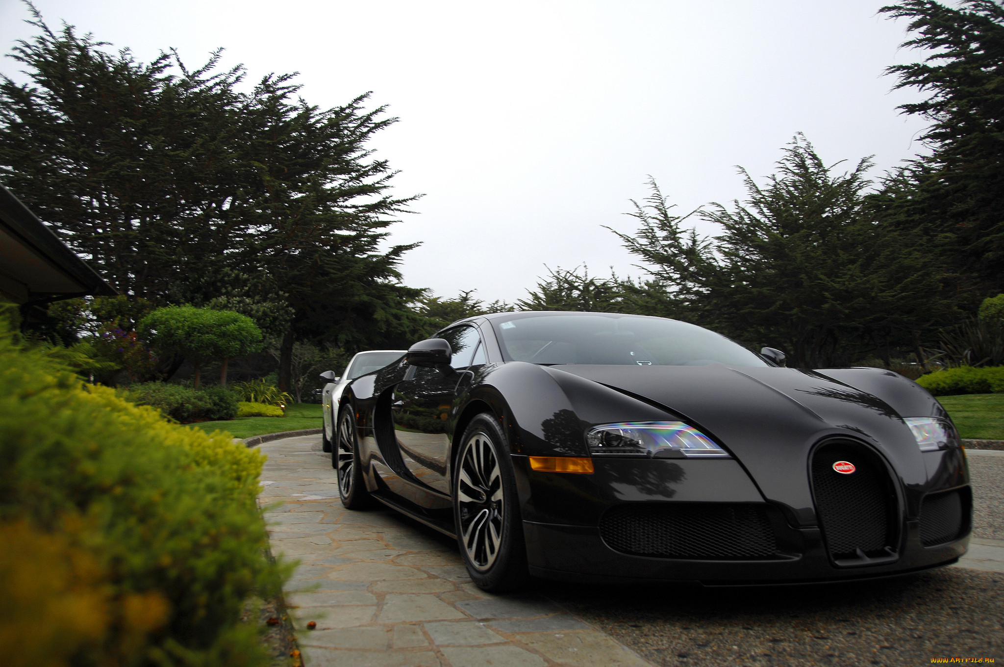 bugatti, veyron, , 